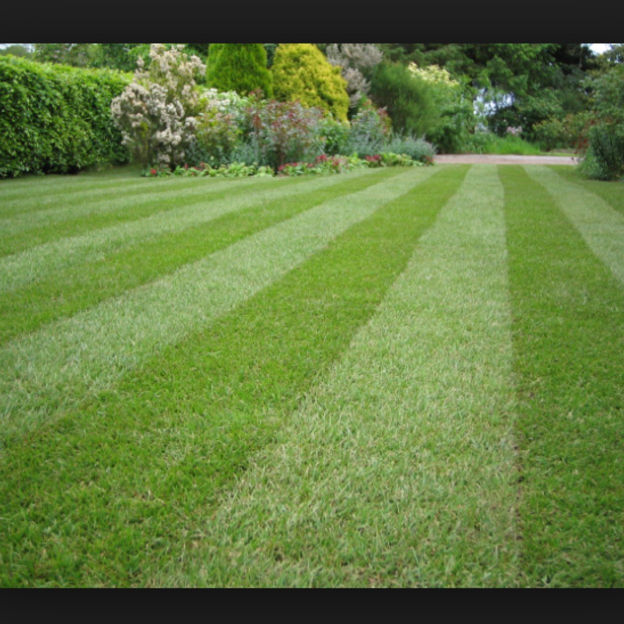 Professional, affordable lawncare in olathe and surrounding areas.

amlawncareolathe@gmail.com 

(913)-742-9628