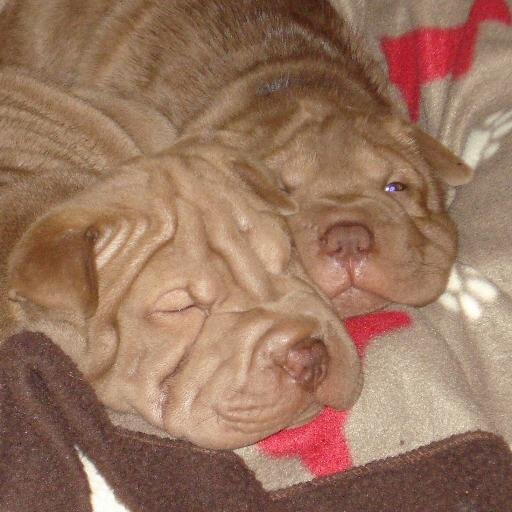 Jada_Heels's profile picture. 