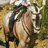 Alvariito345's profile image