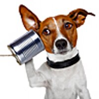 Kuriose Tierwelt (@kuriosetierwelt) Twitter profile photo