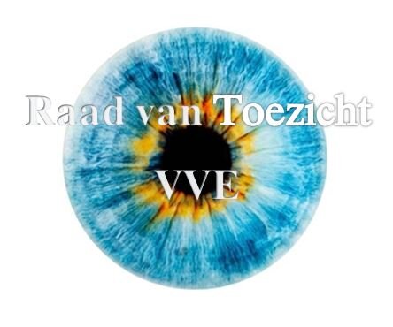 RvTVvE's profile picture. Externe Raad van Toezicht over bestuurders van Vereniging van Eigenaren
