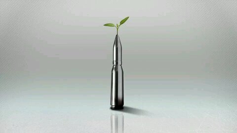 SeafAlMosely's profile picture. ♡ .. !