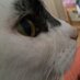 Ms B (@vb3357) Twitter profile photo
