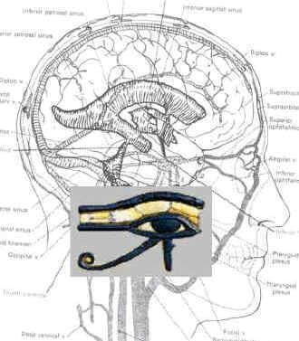 DidiFvh's profile picture. 