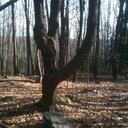 Benjamin Fellows - @AgileVine - Twitter