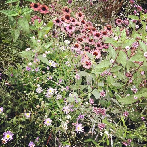 a curated collection of unique seasonal items to enrich your self, home & garden