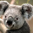 Fred Roeder - @secondbk2 - Twitter