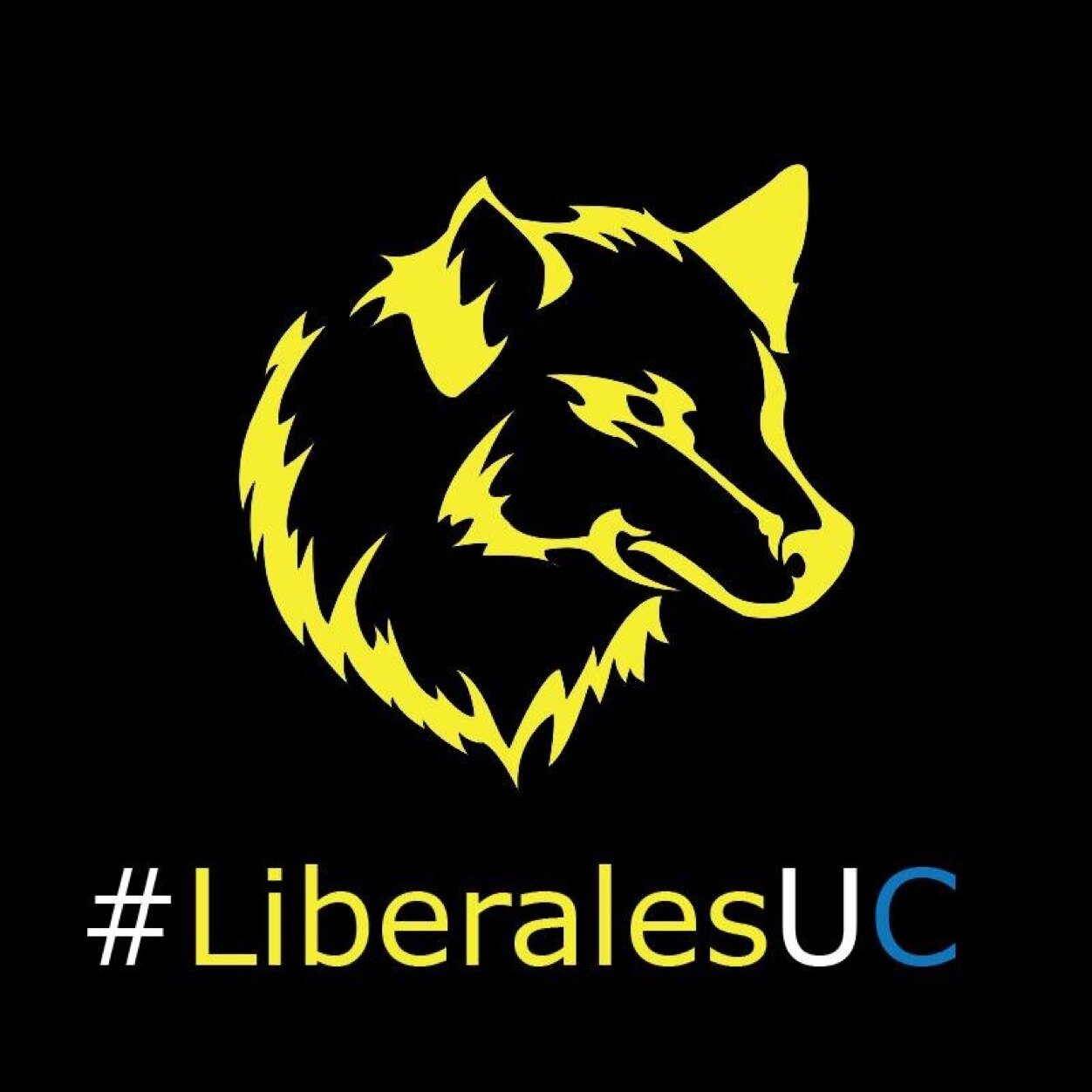 Movimiento político universitario Liberal de la Universidad Catolica. Libertad, Justicia e Inclusión!