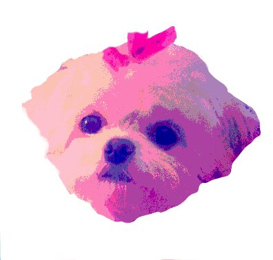 Four-legged princess inviting you to visit her palace of products!