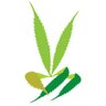 stonedsociety's profile picture. The one man company from @mauropicavet. Founded @cannaindustrie. Co-founded @homegrowncup. Secretary at @vocnederland. Freelancer @suzyseeds
