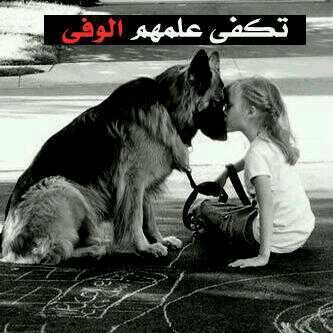 ‏اقسى { الم } لاصرت بالحيل  مجروح من شخص حالف .••،، ما تجي منھٌ زله!!

حييل توجع
