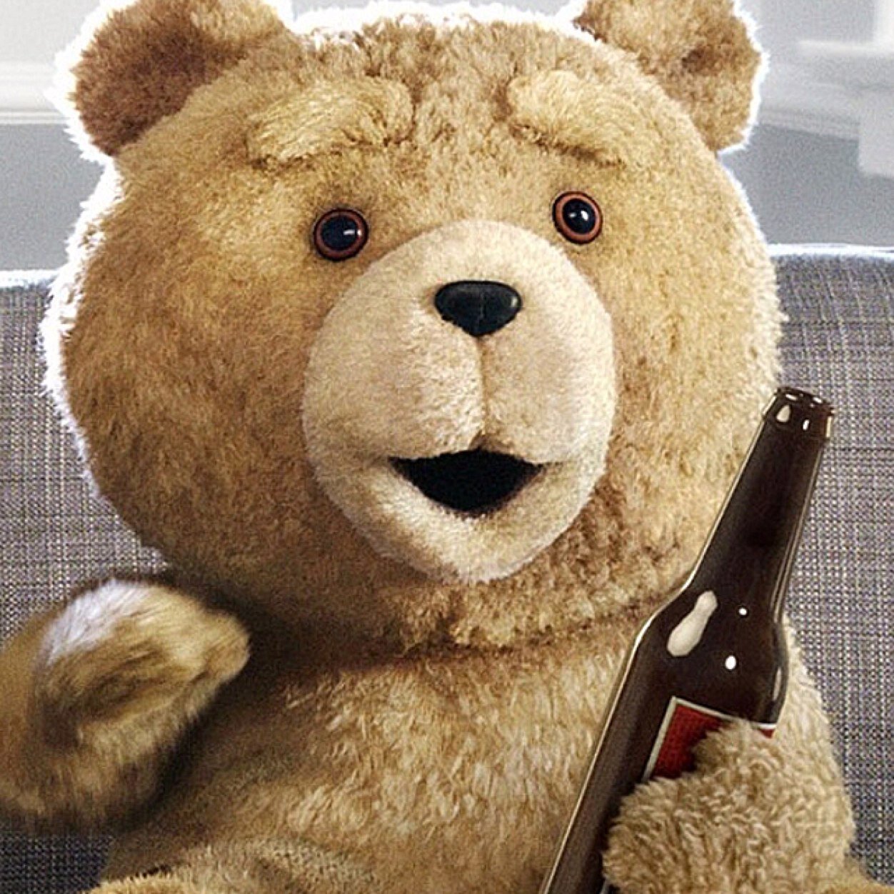 petogp's profile picture. 