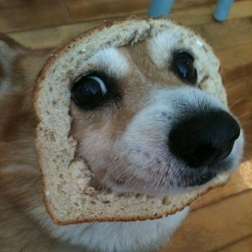 Stufi93_'s profile picture. 29 | ex semi-unprofessional @Trackmania player, one of the VAMOS squad. Collecting cool pixels in CS:GO
🖥️ Network Engineer & PC Gamer 
🏎️ car lover