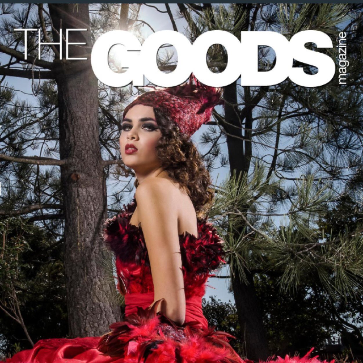 The G.O.O.D.S  Magazine is an online interactive magazine about lifestyle for our generation!  Want to know what's good today? Stop by now and find out!