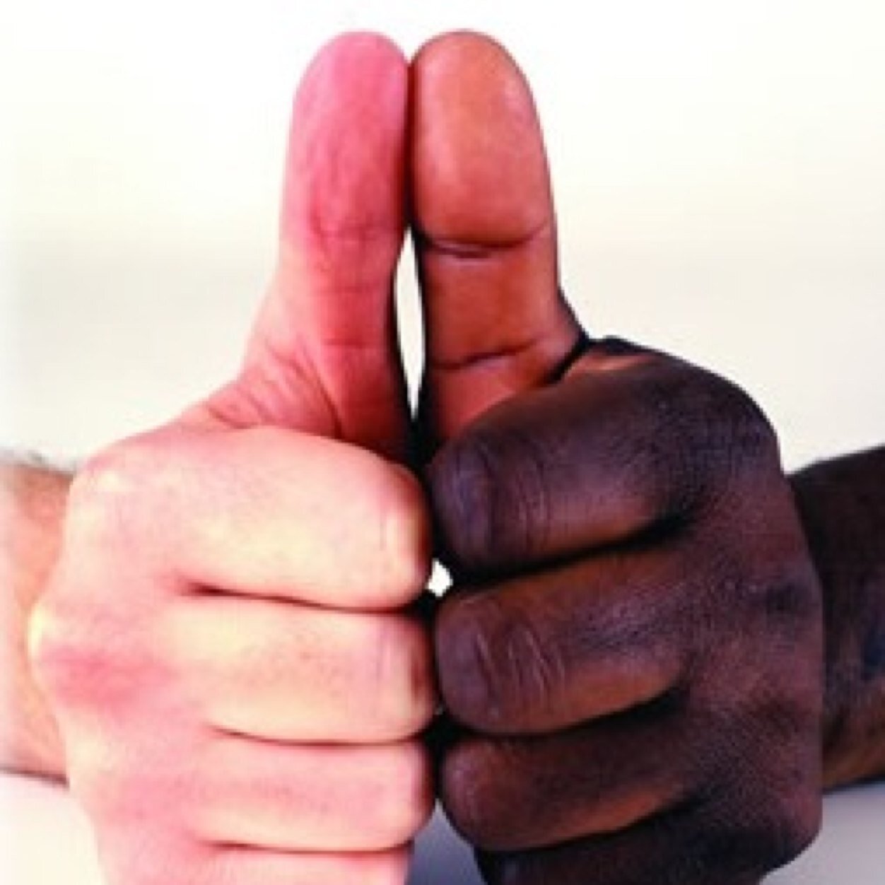 Reallymeanjokes's profile picture. These are just stereotypical jokes, dont get butt hurt please. Im not racist. Follow for follow?