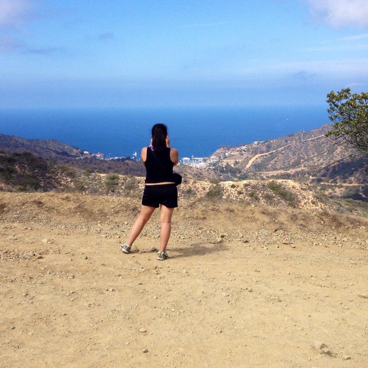 tiu_mimi's profile picture. TIU girl in AZ!