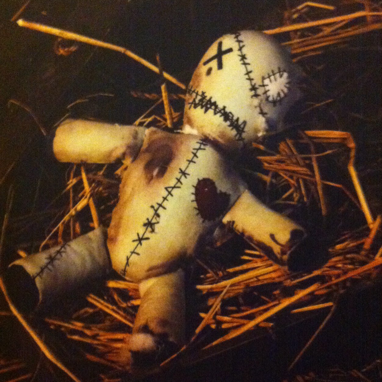 yachiru567's profile picture. im an ELF enough said!