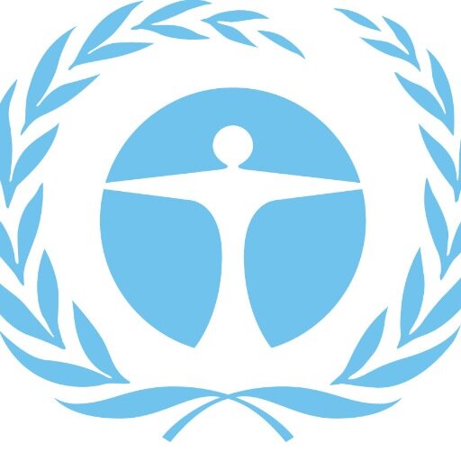 IMUN_UNEP's profile picture. 