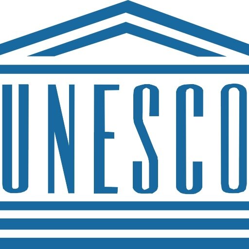 IMUN_UNESCO's profile picture. 