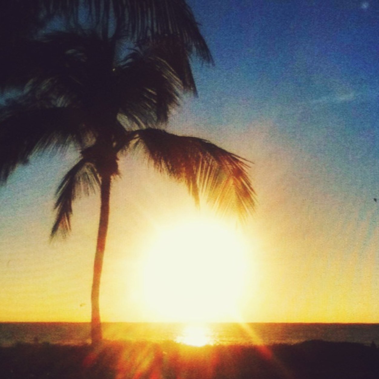 Sending positive vibes to everyone on FL/RP. :) Run by @gnikafdemetria.