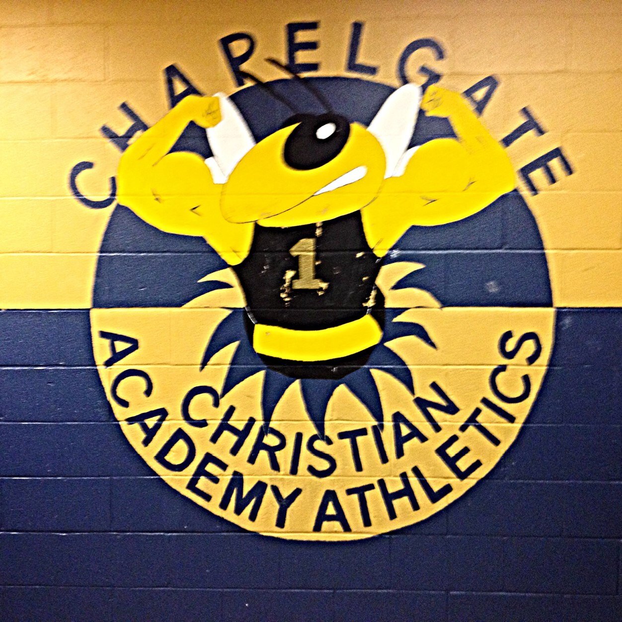 Chapelgate Christian Academy Men's Basketball Program ... MIAA Champs 1999, 2004, 2010, and 2011 🏀🏀... integrating faith and basketball! 💥💥