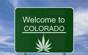 coloradopothead's profile picture. staying high till I mothafukin die!!#420#stonernation#303#BMFOT