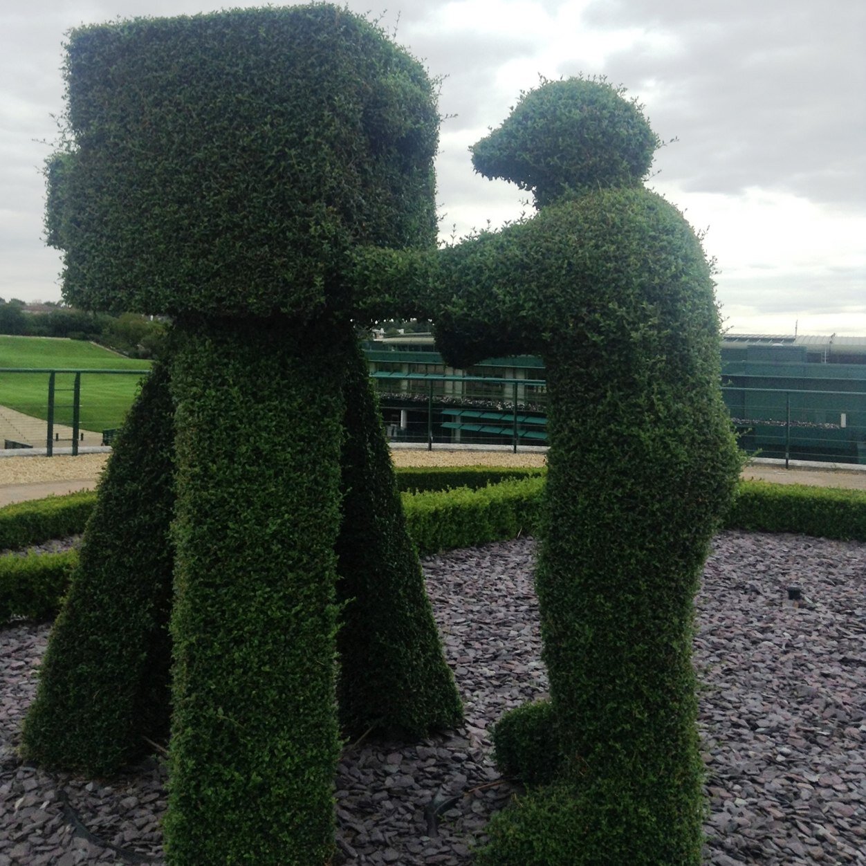 Mum, Wife, Vegetarian, Tennis
