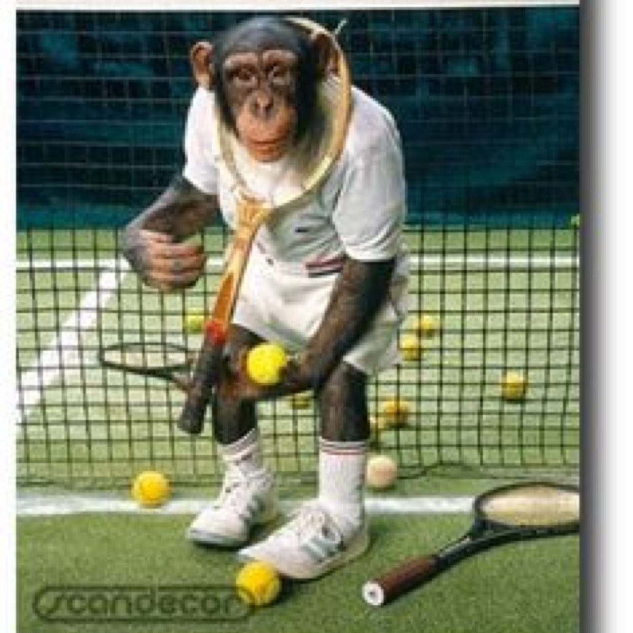 Getrouwd met Zwaantje en een zoon Daan en dochter Noor. Werk: Pagedal Hobby's: tennis, hardlopen, darten, voetbal enz.