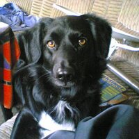 DirkCharly (@dirkrainer8) 's Twitter Profile