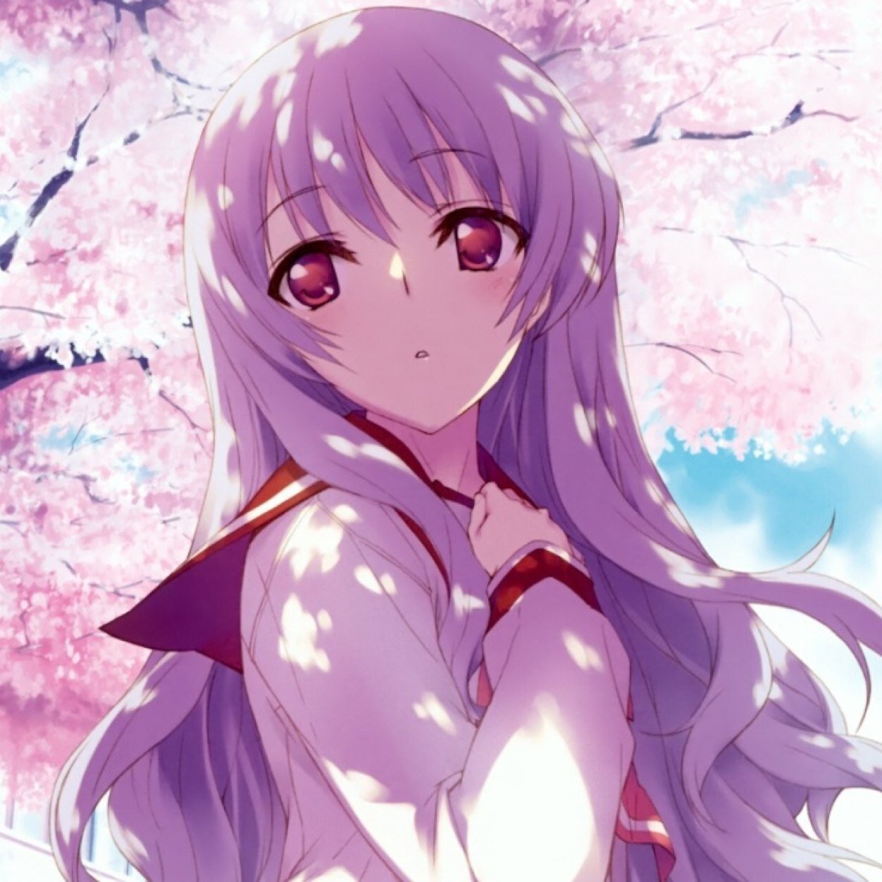 Chan45Nicole's profile picture. 