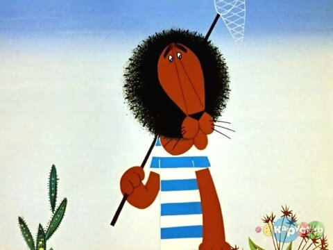 vhusev's profile picture. 