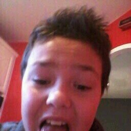 theo_verron's profile picture. 