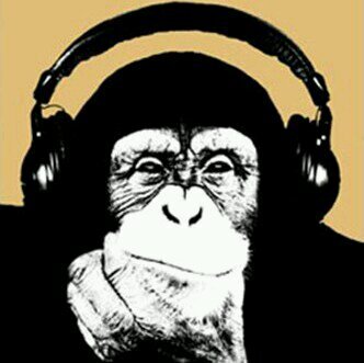 Abeselom16's profile picture. 