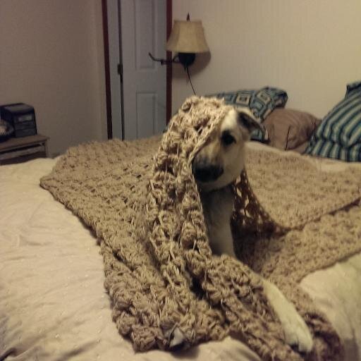 WendiMunday's profile picture. I have relocated to the coast and I am excited at the prospect of putting my management skills back into use.