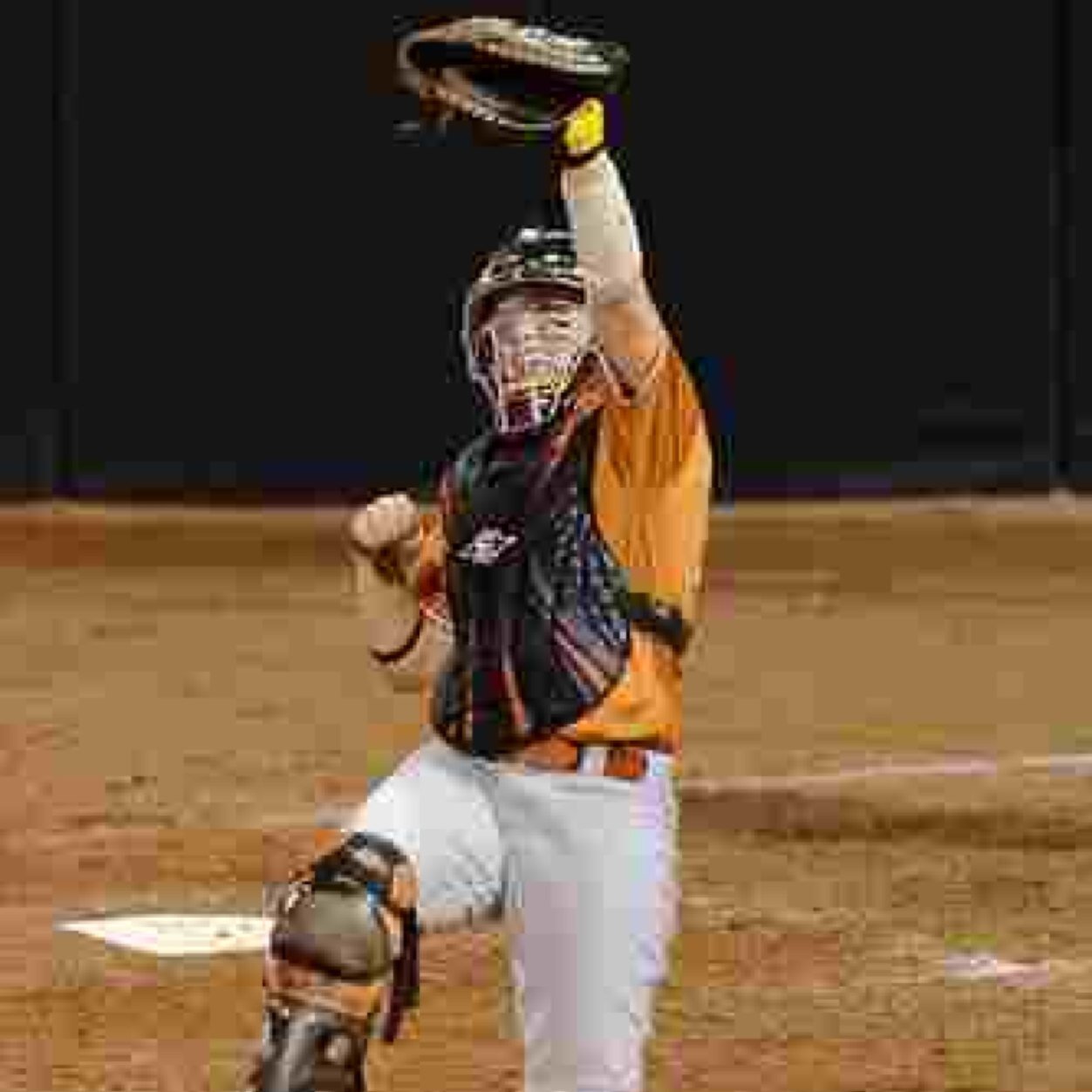 Blocking Balls and Throwing Out Runners⚾️