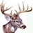 JaysOutdoors's profile image