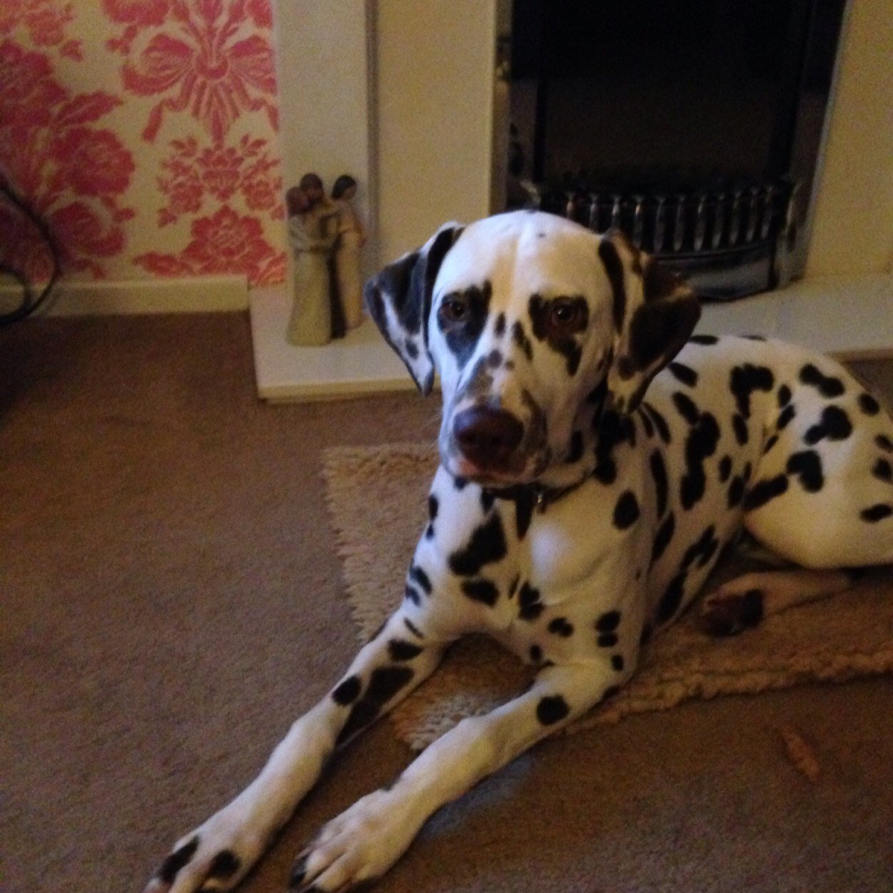 Dottylulu22's profile picture. 