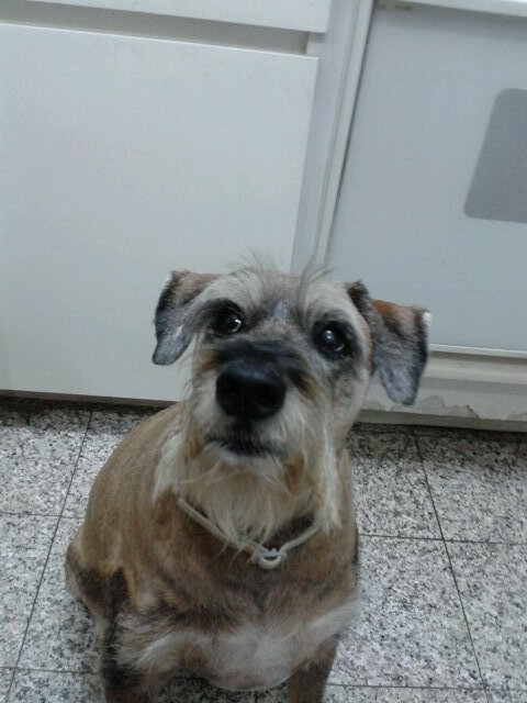 vivicala's profile picture. 