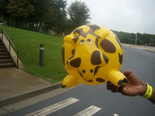 ShiiraShiira's profile picture. I'm just me and nobody else...