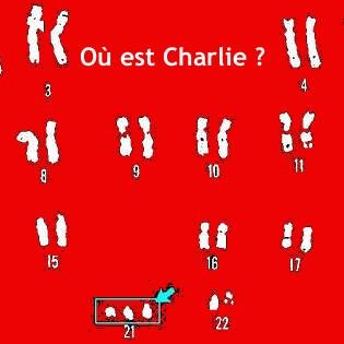 La #TRISOMIE, C pas triste! Trisomicmac, toute l'actu sur la trisomie 21. #Prochoix #Laïcité #Sindromededown #DownSyndrome https://t.co/57d4rC7aBV