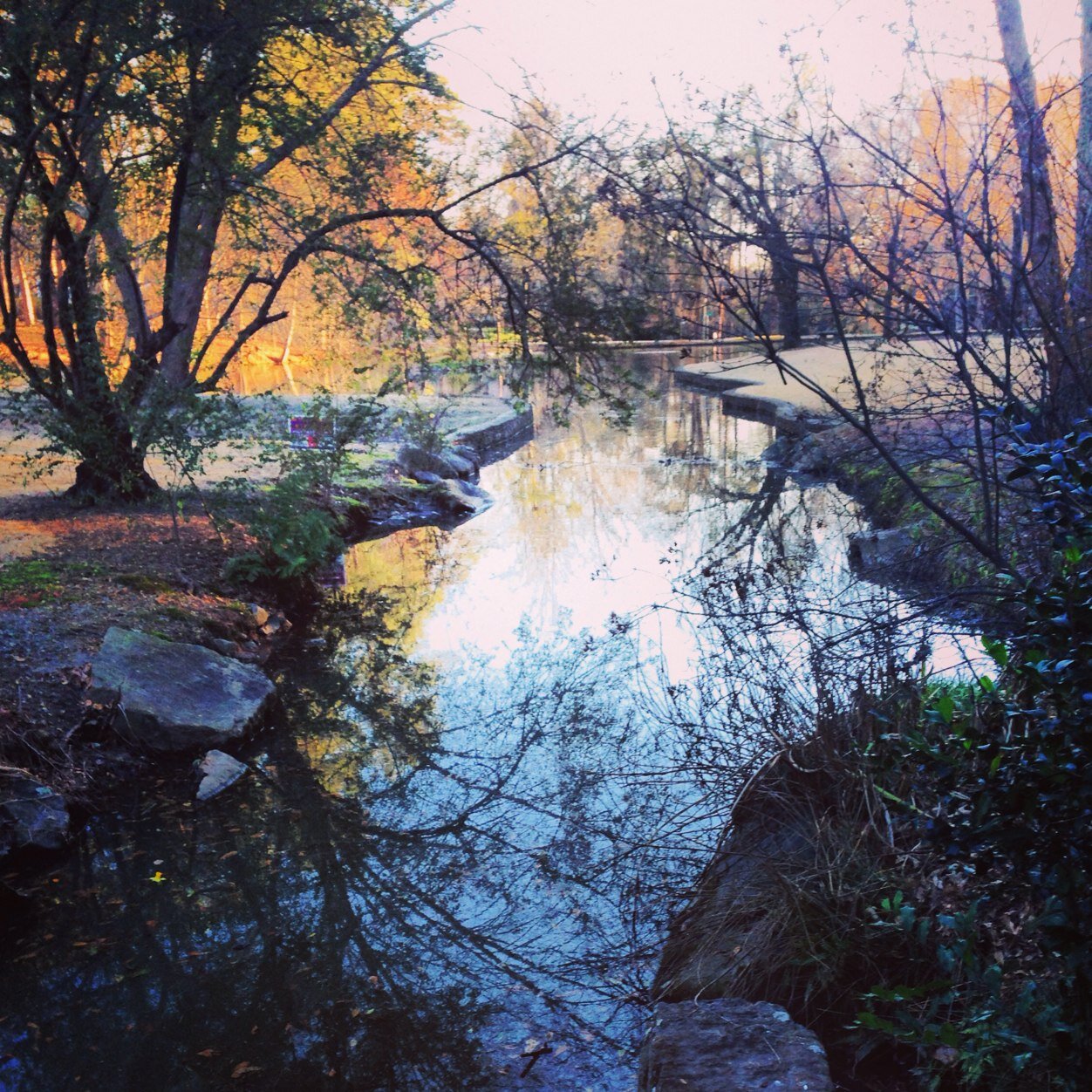 rmcgee6's profile picture. 