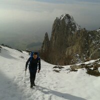 José tomas (@discrepo67) 's Twitter Profile