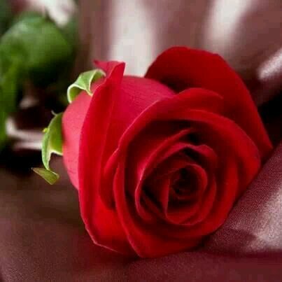 michisudiang79's profile picture. 