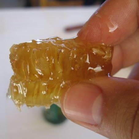 Honeyfromcrete's profile picture. We LOVE Honey!