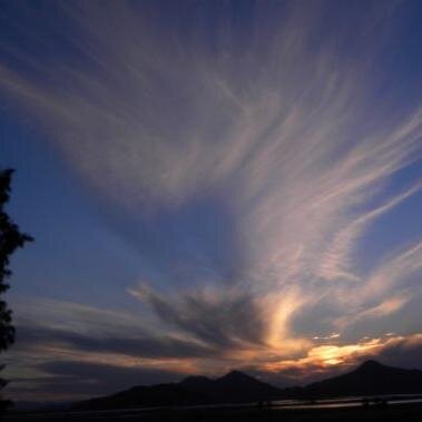 OlijnykConsult's profile picture. 