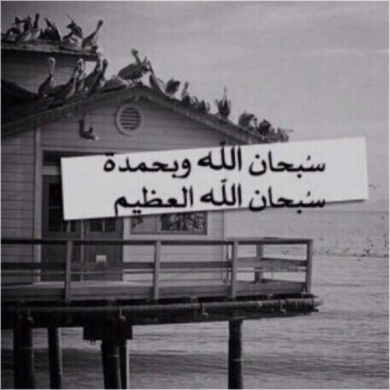 سـبحان الله وبحمده سبحان الله العظيم. المملكه العربيه السعوديه / جـده