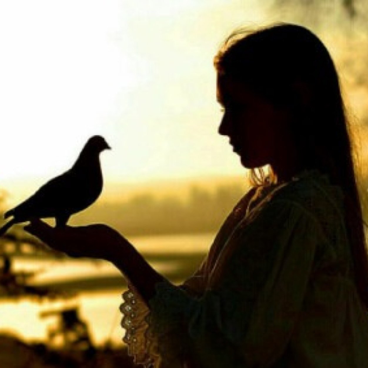 2012Mrrom's profile picture. 