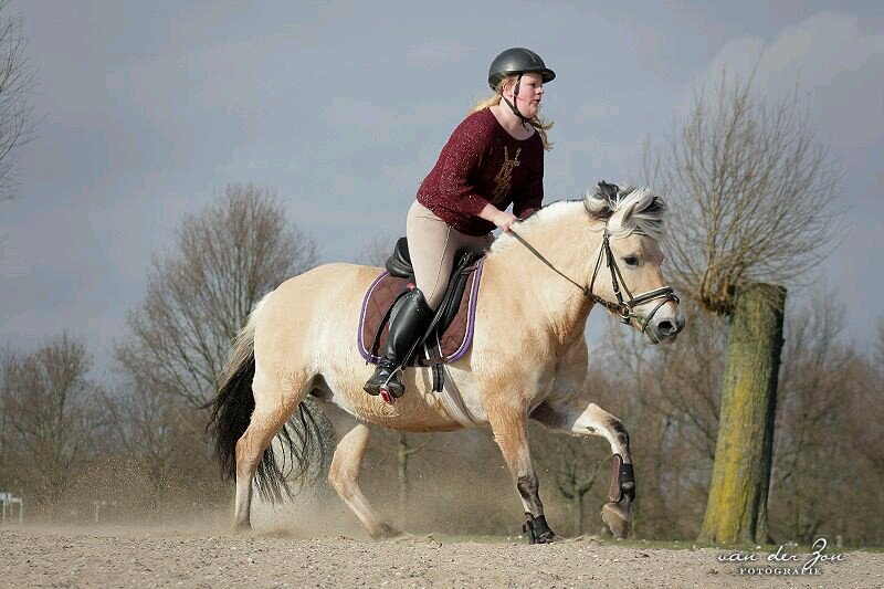 Love my friends & family/ Het westeraam/ my lovely horse