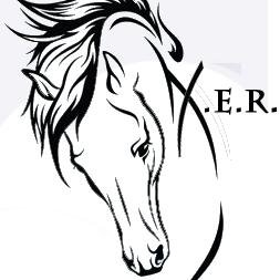 XanthusEquiResQ's profile picture. Save America's Horses, Give them a Job, and Love them. 501c3 Tax Deductible Donations. Save the Horses.