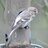 john_adshead's profile image